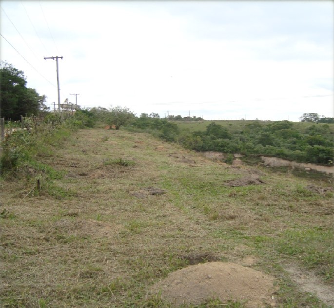 Vista da área antes do plantio